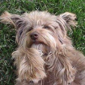 Meet your Posher, Maureen